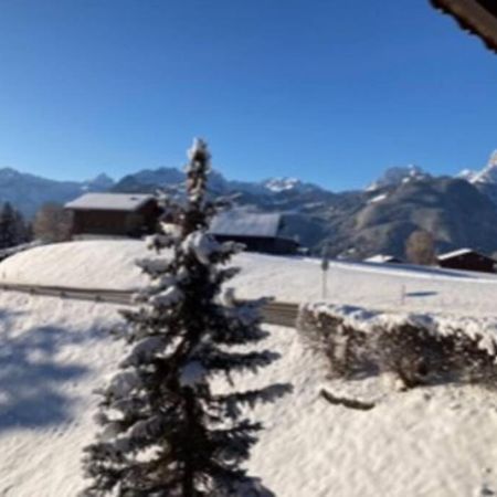 Chalet Soldanella 10 Guests Gstaad Dış mekan fotoğraf