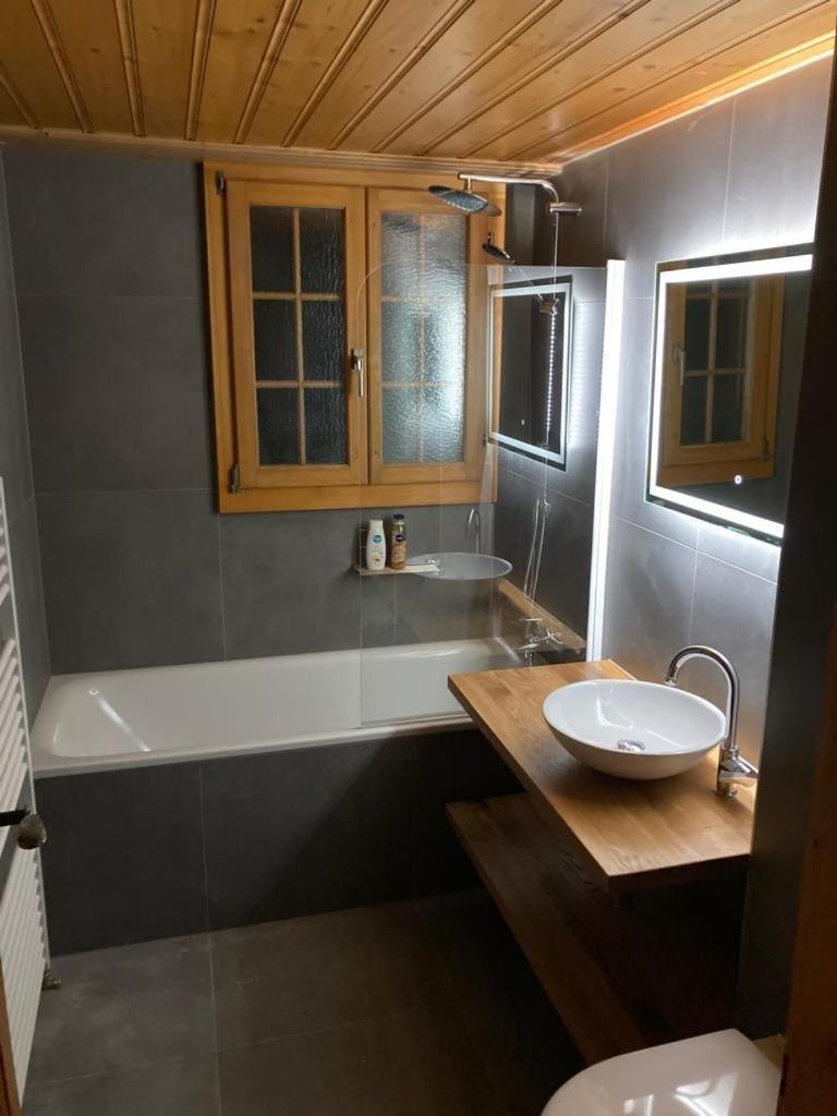 Chalet Soldanella 10 Guests Gstaad Dış mekan fotoğraf